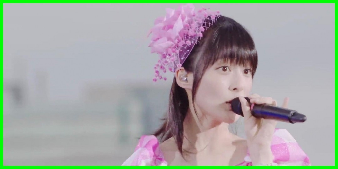 嗣永桃子<!--zzz嗣永桃子/安倍なつみ/zzz-->