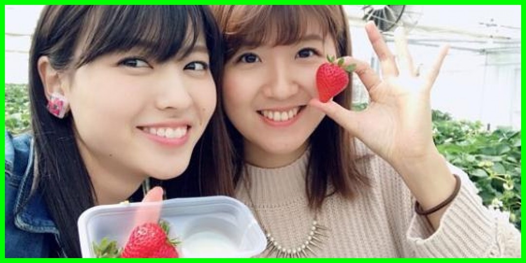 矢島舞美<!--zzz矢島舞美/徳永千奈美/zzz-->