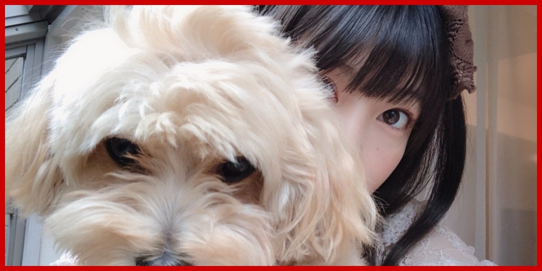 ロッキンありがとう 横山玲奈