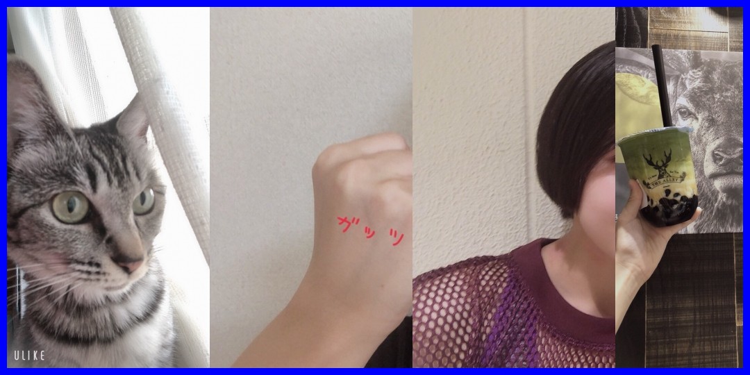 ♪.松永里愛ちゃん!HBD!夢羽ちゃん! 金澤朋子