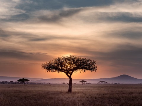 SouthAfrica