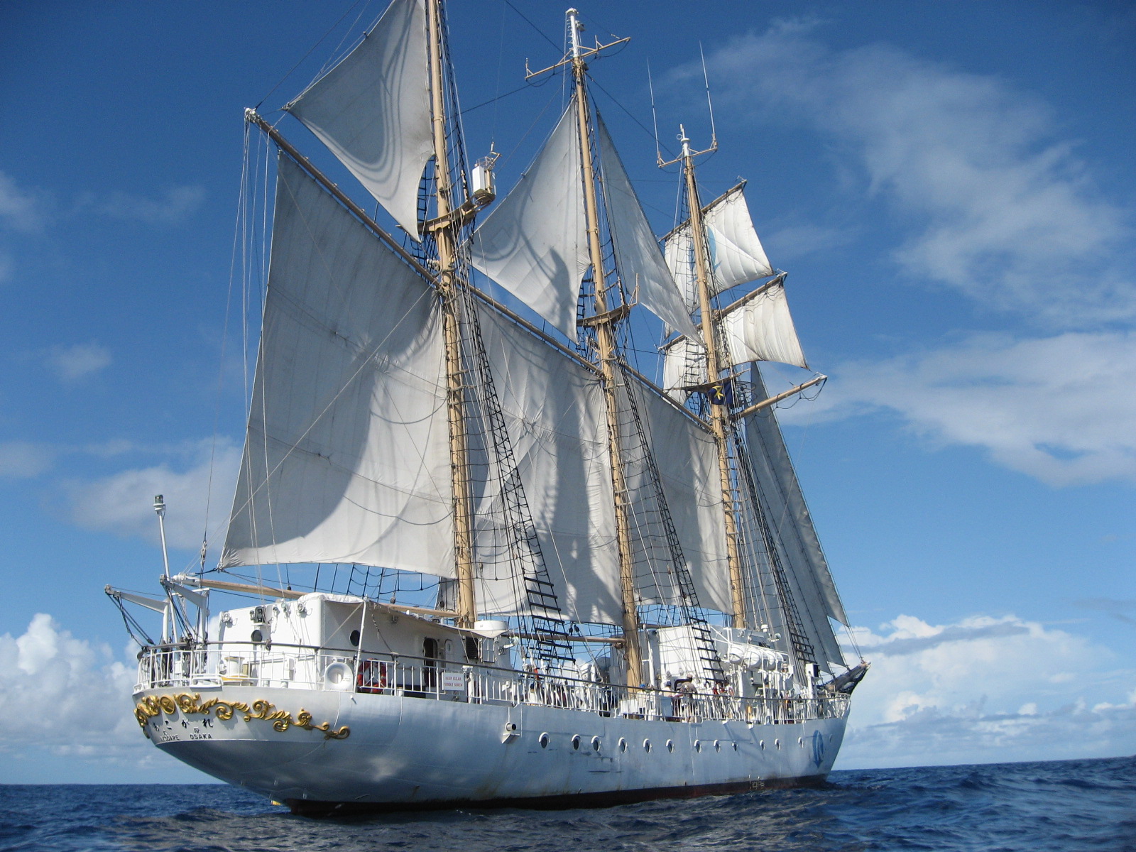 Sail Training Ship Akogare Helly Hansen ヘリーハンセンギャレ大阪店