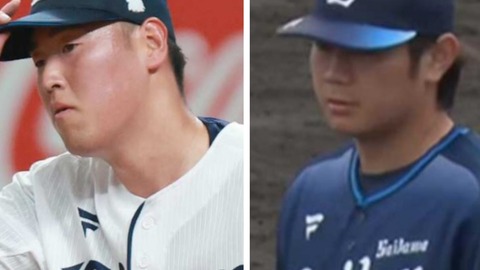 20250828_194342-COLLAGE