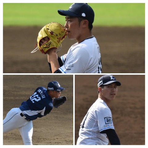 20230801_092759-COLLAGE