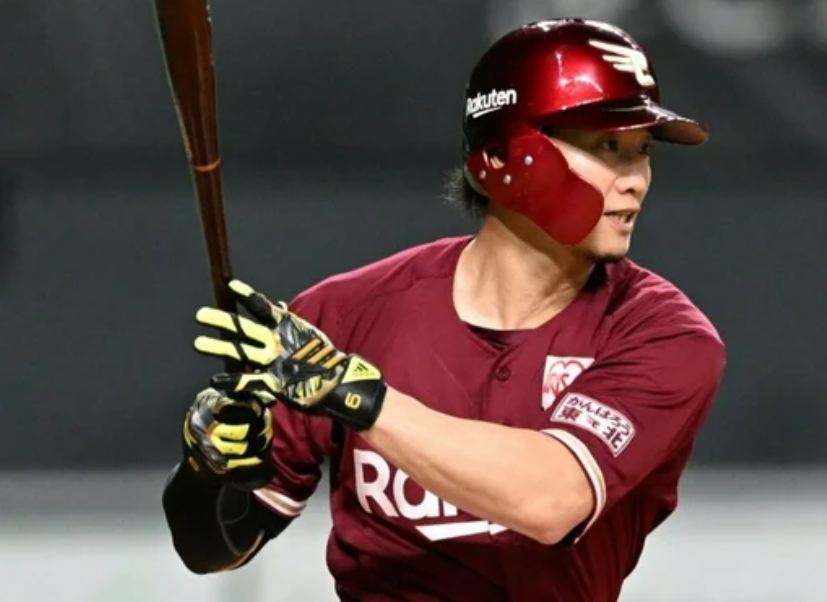 ヤクルト 日本ハム 西川遥輝 選手 実使用 バッティンググローブ 支給品