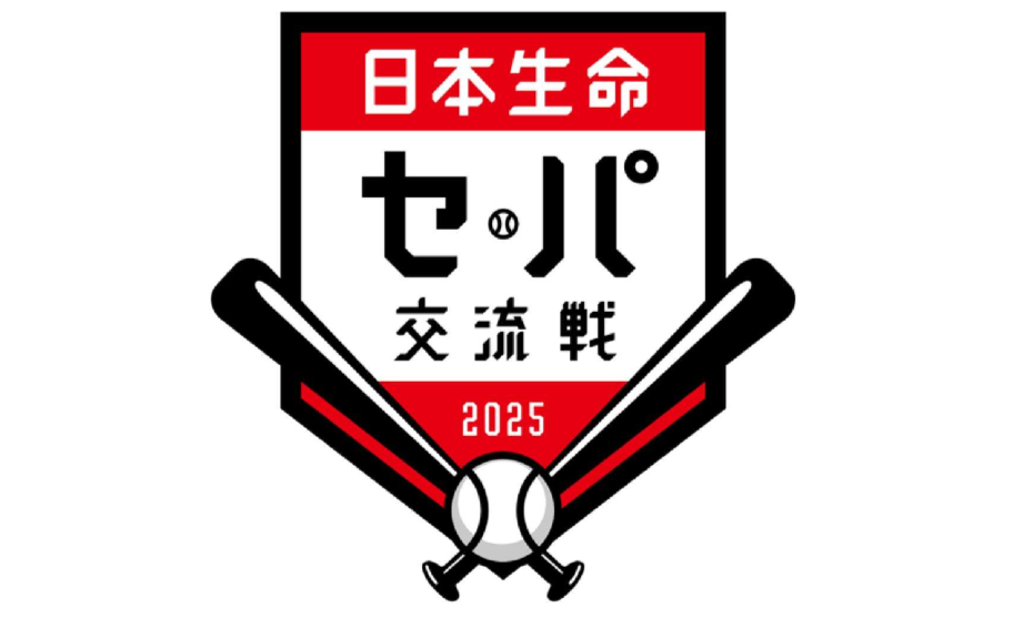 セ・パ交流戦 送料込み！ 6/1西武ライオンズVS阪神タイガース 3