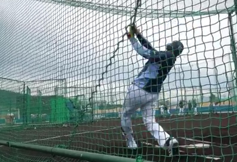 Screenshot_20260206-190811~2