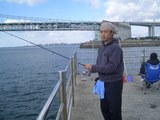 釣れねー