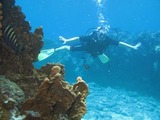 IMG_3759