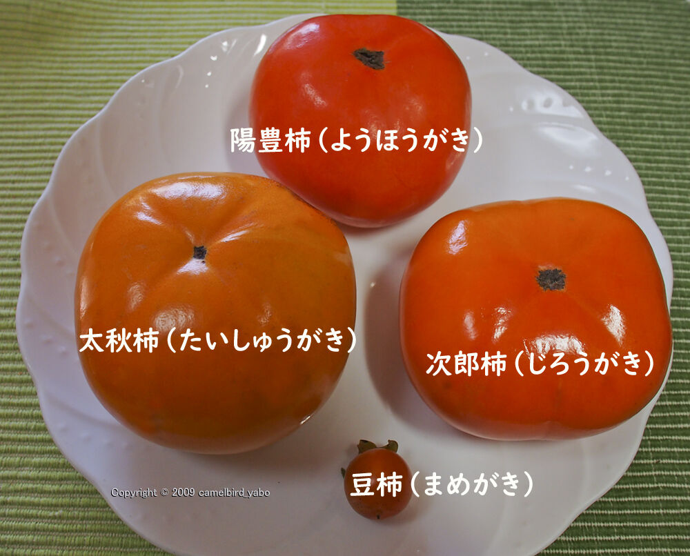 柿狩り へなちょこ写真ブログ