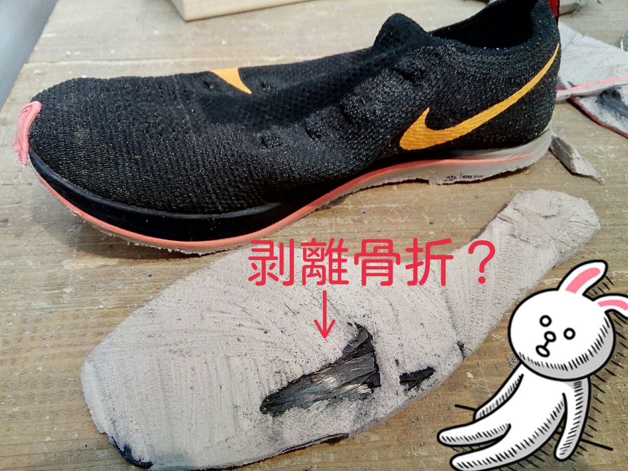 寿命 3 ズーム フライ