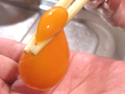 無農薬野菜ミレー