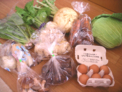 無農薬野菜ミレー