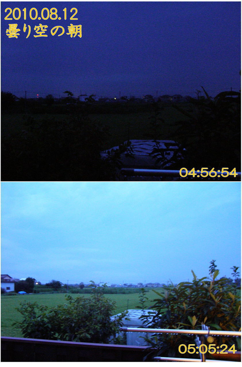 ジャンボタニシ 尾根の散策