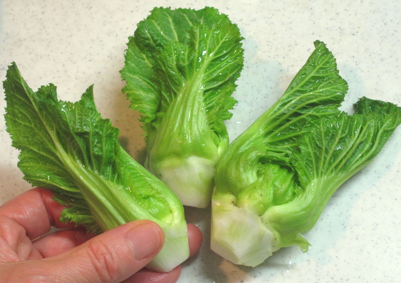 春野菜で胡麻和え大会 今日 京 のおばんざい なぁに