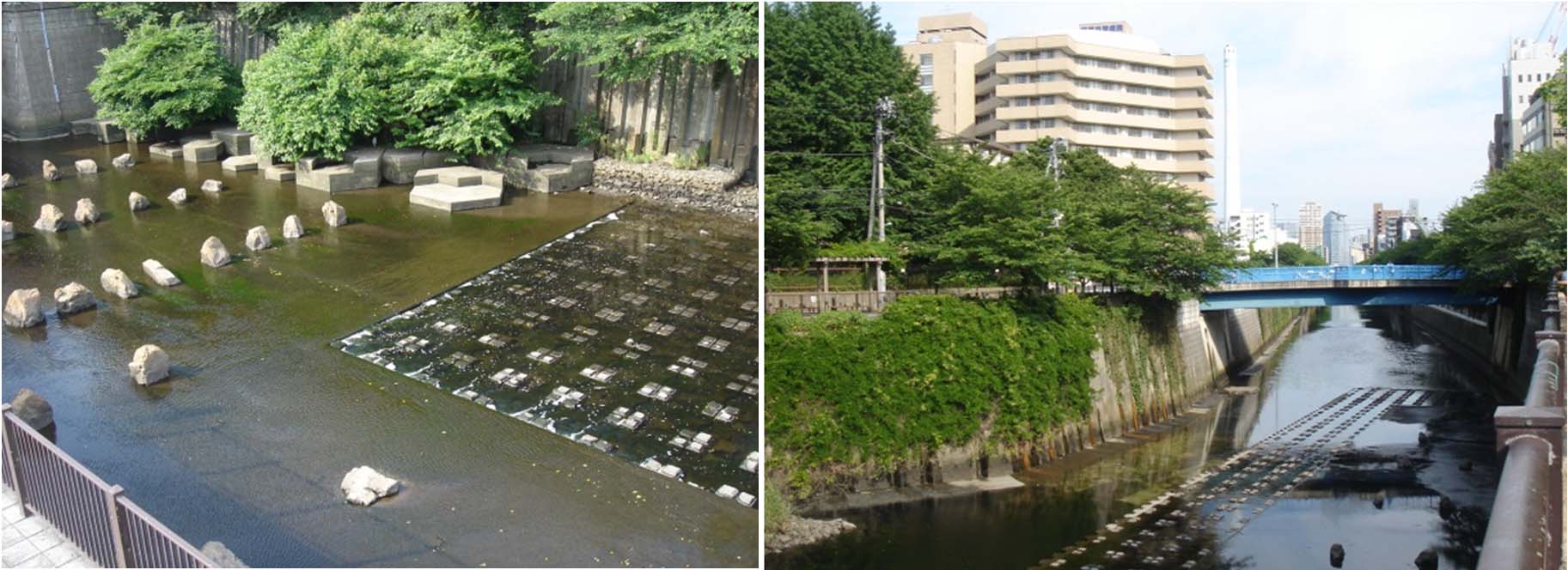 目 黒川 氾濫