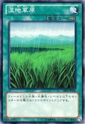 417eKQpSNFL._AC_UF894,1000_QL80_