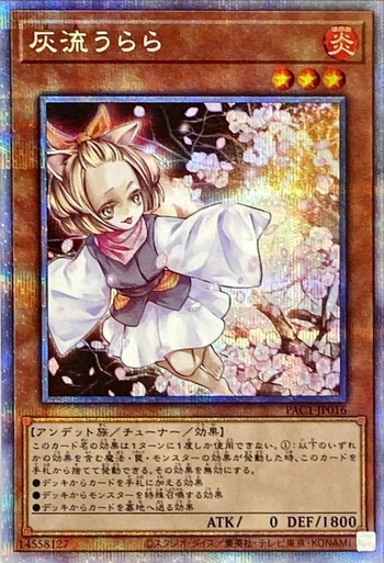 PAC1PS028