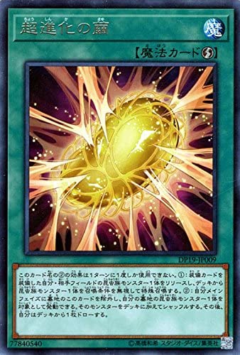 51wUM8jigCL._AC_SY580_