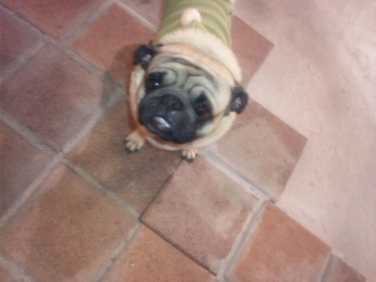 トイテリアで夕食 へんおじの闘病記