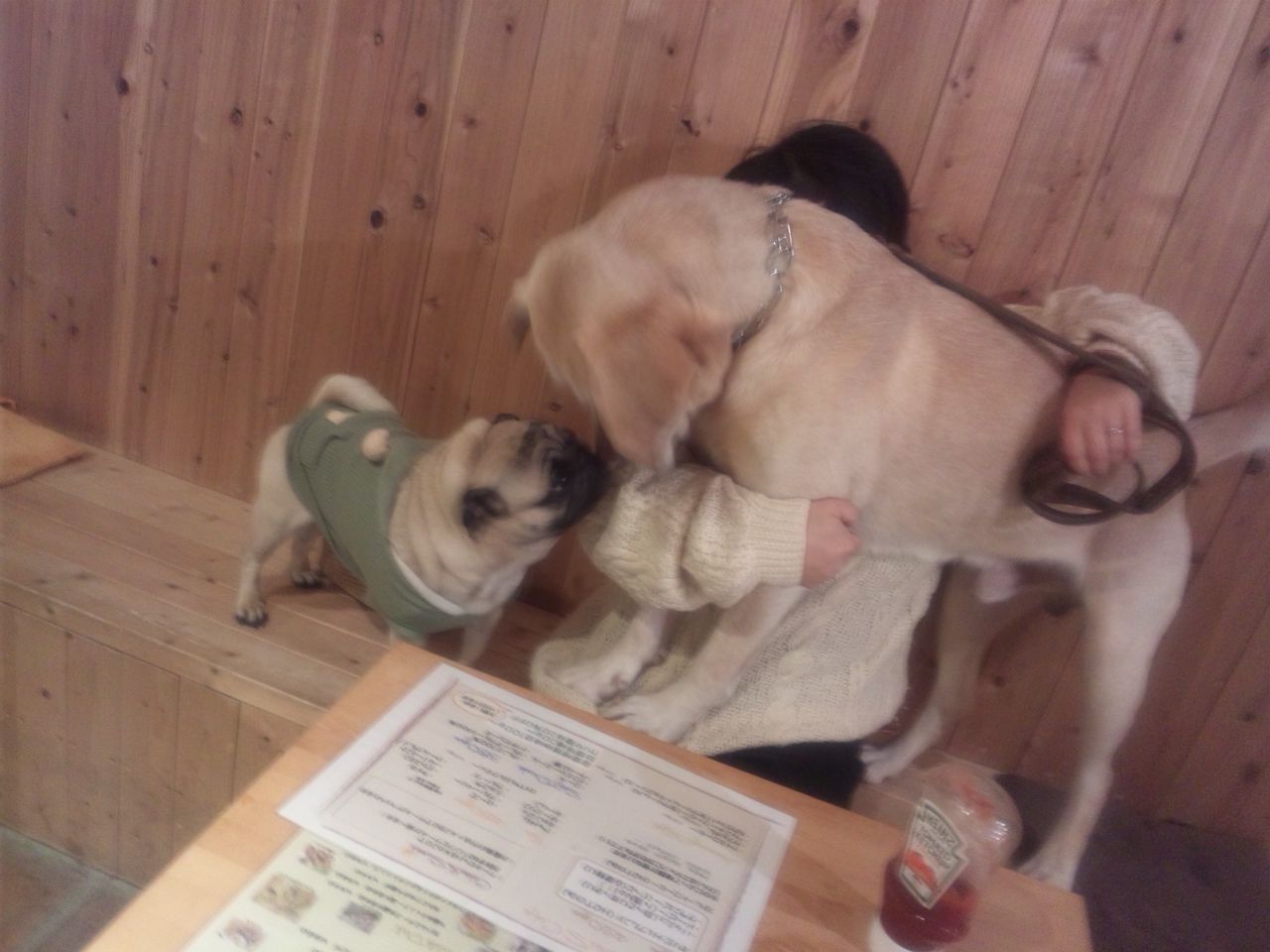 トイテリアで夕食 へんおじの闘病記