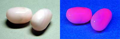 ���᡼�� 2