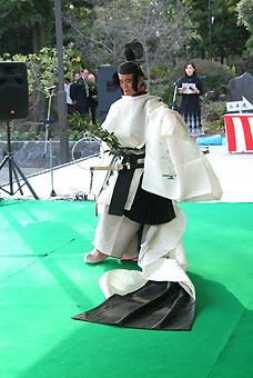イメージ 7