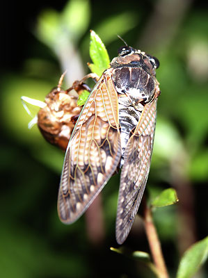 ���᡼�� 3