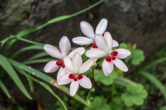 IMGP6297