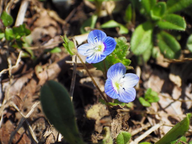 IMGP8297