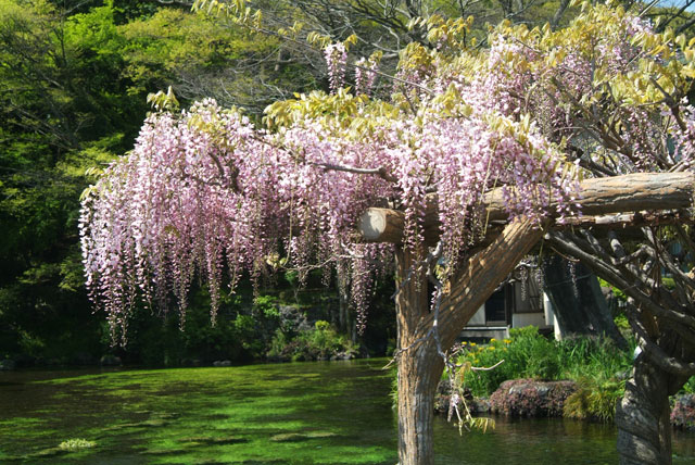 ���᡼�� 1