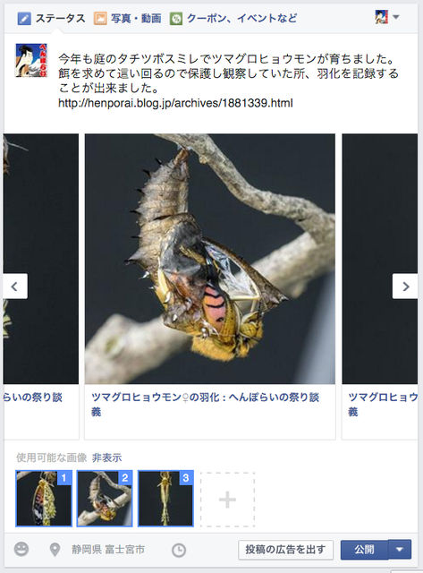 43�Υ���゚��