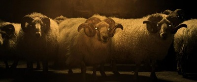LAMB2