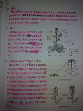 o0810108015437896223 (1)