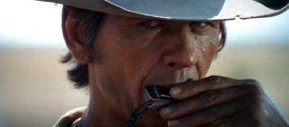 western1-644x284
