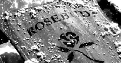 rosebud (1)