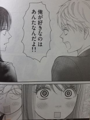 shinnyanodamekoi10-1 (3)