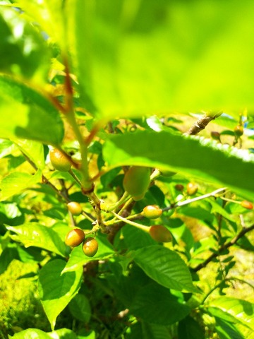 IMG_20210412_104557