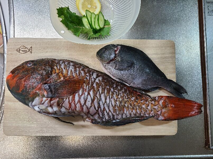 イガミの刺身 釣りキチ三子の釣れづれ日記