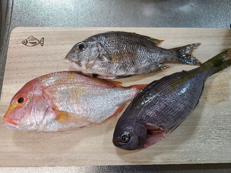 お魚３種の酒蒸し 釣りキチ三子の釣れづれ日記