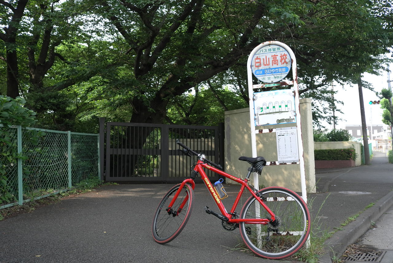 自転車 遍路 ブログ