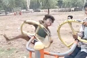 ◆【動画】大丈夫か？笑。公園の遊具でヤバそうな事になっている少年が撮影される。