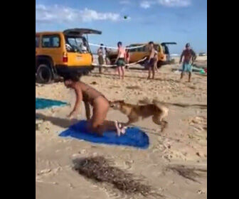 ◆【動画】ビーチで寝ている女性のお尻を犬が噛んでしまう 変態の宴Ⅱ