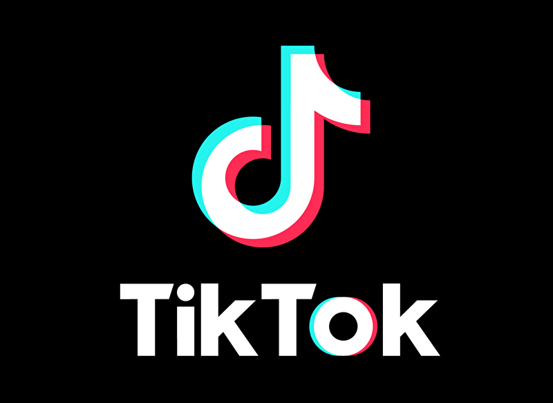 ◆【閲覧注意】TikTok、エロ動画はダメで「この動画」はＯＫ・・・ヤバすぎるだろ・・・ 変態の宴Ⅱ
