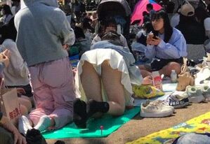 ◆【gif】女の子が花見で無防備パンチラ 変態の宴Ⅱ