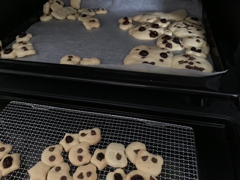 6C388B7A-6405-42DD-B3B1-0EF9BBC6872F