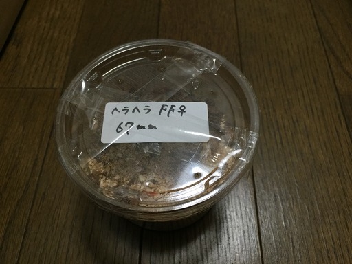 2015-01-14_23-12-16