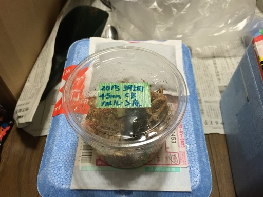 2015-03-22_11-22-57