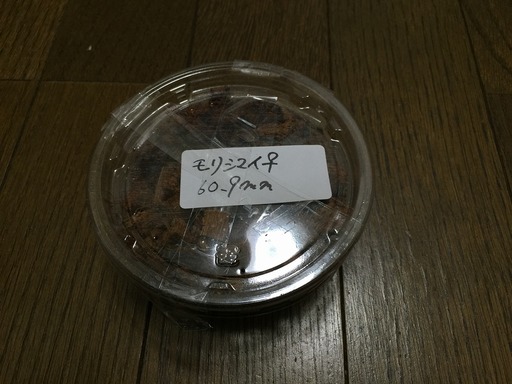 2015-01-14_23-12-07