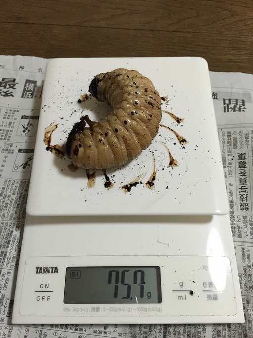 2015-01-17_18-24-13